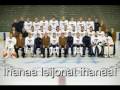 Ihanaa leijonat, ihanaa