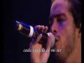 aya / el amor de *los a*