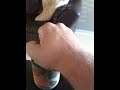 I uploaded a YouTube video -- Cheers http://bit.ly/q07CN
