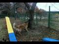 videos de A photograph was taken with the high speed camera.