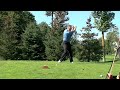 Top 25 Golf Pro Lesson Modern Driver