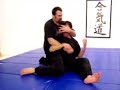 Tai Chi Ground Fighting Skills