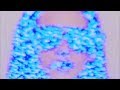 Coals - Tamagotchi tekst piosenki