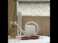 animation  oiseaux à toulouse