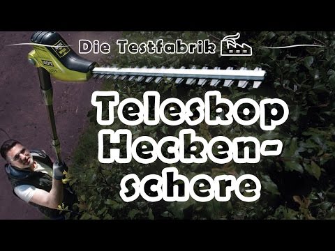 ✂️ Teleskop Heckenschere Test – 🏆 Top 3 Teleskop Heckenschere im Test