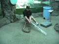 Denver Zoo\ Denver Zoo\