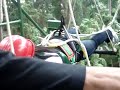 ziplining @ subic tree top