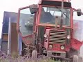 Young Living Lavender Farms 2004