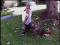 Dave Eggers Dog Training Demo