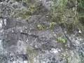 This is the old Pali HWY