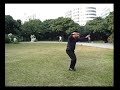 簡化太極二十四式-內功打法 (張 升) Taiji - simplified 24 form