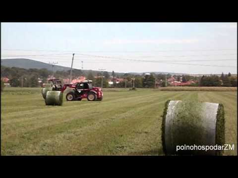 how to harvest clover