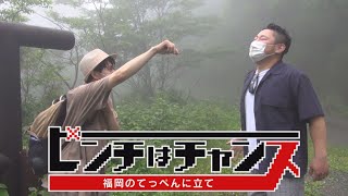 動画のサムネイル