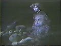 CATS - Wien / Vienna 1983 - Erinnerung