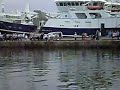 Minke Whale Fraserburgh Harbour