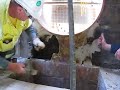 Tank 8 Launder Repair2