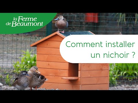 Îlot flottant en bois et nichoir à canard