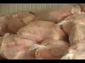 Songhai Sustainability Project Part 4 Songhai Sustainability Project Part 4