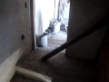 MOV04975