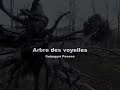 L'Arbre des voyelles, Guiseppe PENONE