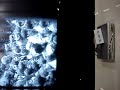 This is the new dreambox dm500hd with hdmi connection and has a usb port for external harddrive it is extremely fast setup box top quality picture And sound ,the smallest 1080i hd box in the world...