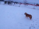 First Snowfall.avi First Snowfall.avi