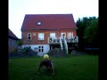 Fodbold i haven! 9220 Fodbold i haven! 9220