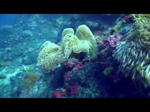 See video
