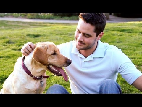 The Bond Between Man's Best Friend and Their Owner
