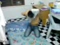 my sozai friend