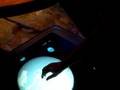 videos de Trip to Disneyland! Anaheim, CA Part 4