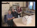 lorge-animals-talk.html