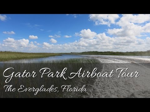 Gator Park Airboat Tour - Everglades, Miami, Florida (HD)