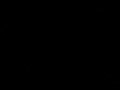 andrew reynolds video i threw together.  clips from emerica and pro files.

gavin rossdale - adrenalin

please comment