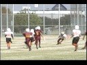 Cougars vs. Tigers - Game 5 Highlights