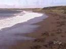 Newfoundland Shoreline in October
