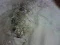 la NEVE a milano pt.1