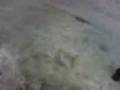 videos de la NEVE a milano pt.1