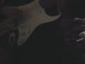 Just a video of me playing one of my favorite My Chem songs!Guitar: Squire StratocasterAmp: Line 6 Spider II 30Pedal: Zoom Tri Metal TM - 01P.S. Sry about the really crappy quality k?