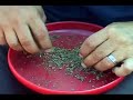 bubble bag hashish from shake leaf or bud  part 4 of 8 