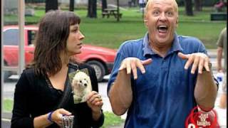Just For Laughs TV - Lost Dog Prank
