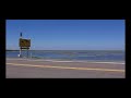 the bridge-Johnny flamingo
