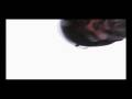 videos de the bridge-Johnny flamingo