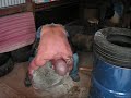 Natural stone lifting- up to 500lbs