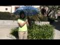 videos de ForeignStudent.mov