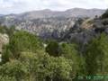 RUTAS CON MUFLON 77 INMAVIBE ALFAMALAGA2