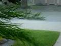 Hurricane Dolly hits Harlingen, TX (the madness!)