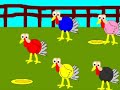 Pavo Rangers