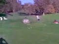 EXTREME BACKSPIN Ben Myatt EXTREME BACKSPIN Ben Myatt