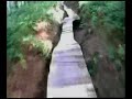 Dalby Forest North Shore (black run)